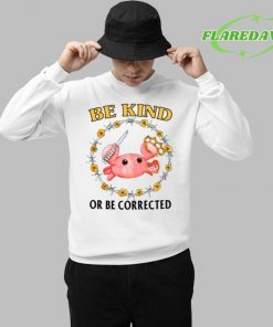 Be Kind Or Be Corrected Premium Shirt